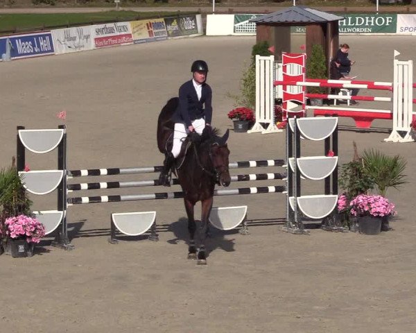 Reitturnier Westergellersen 2022