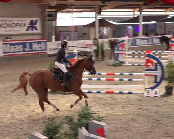 1. Nordic Jumping event Negernbötel 2022
