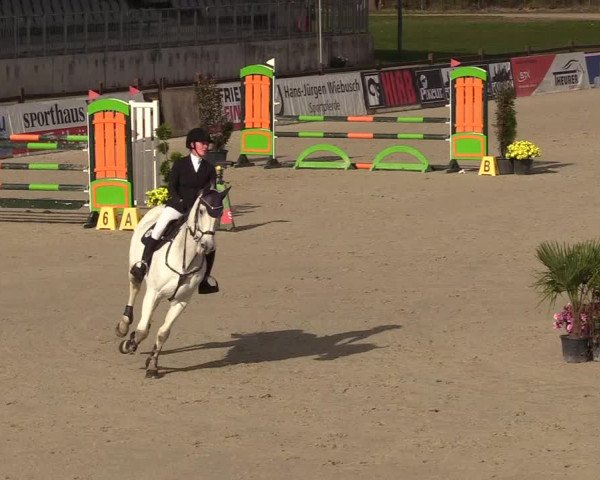 Reitturnier Westergellersen 2022