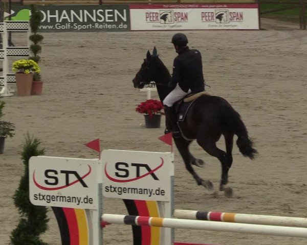 Reitturnier Westergellersen 2022