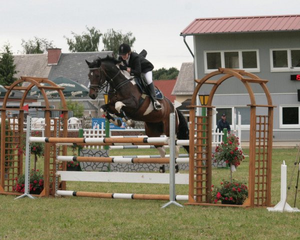 jumper Sensation Lady (Sachse, 1998, from Samenco I B)