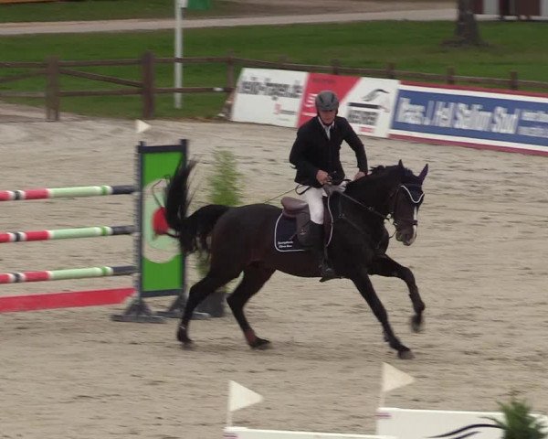 Reitturnier Westergellersen 2022