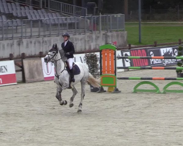 Reitturnier Westergellersen 2022