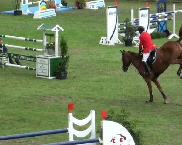 broodmare Quiselle (Rhinelander, 2003, from Quidam's Rubin)