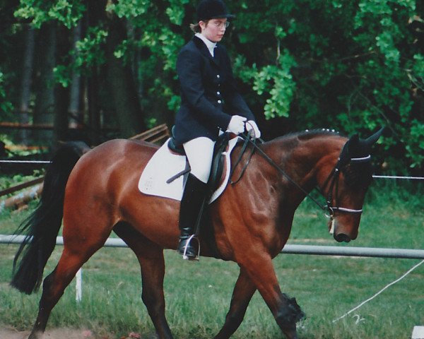 Pferd Wolf Hanover (DE) (Deutscher Traber, 1991, von Sugarbowl Hanover (US)) Pferd Wolf Hanover (DE) (Deutscher Traber, 1991, von Sugarbowl Hanover (US))