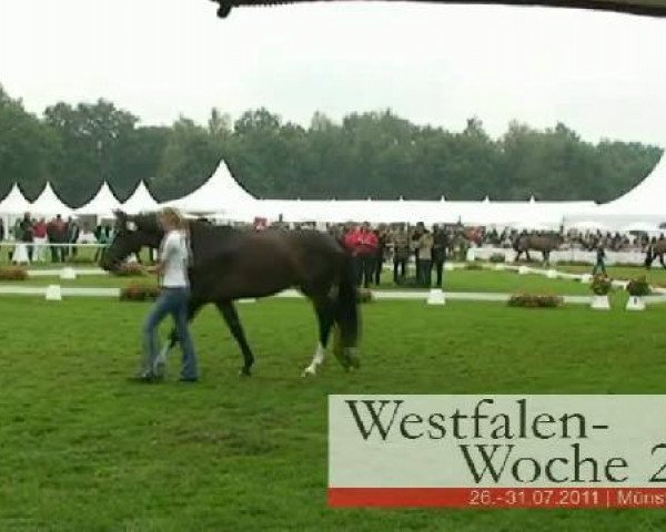 broodmare Freudenlied (Westphalian, 2008, from Fifty Cent)