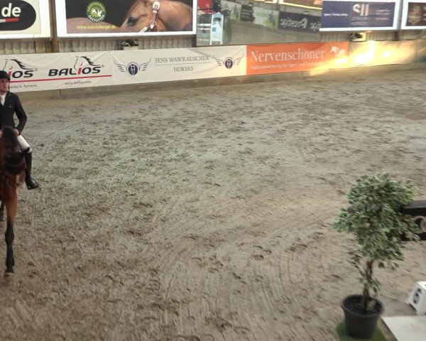 1. Nordic Jumping event Negernbötel 2022