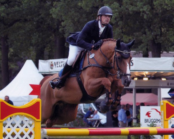 Springpferd Grand Balou 4 (Hessisches Warmblut, 2003, von Balou du Rouet)
