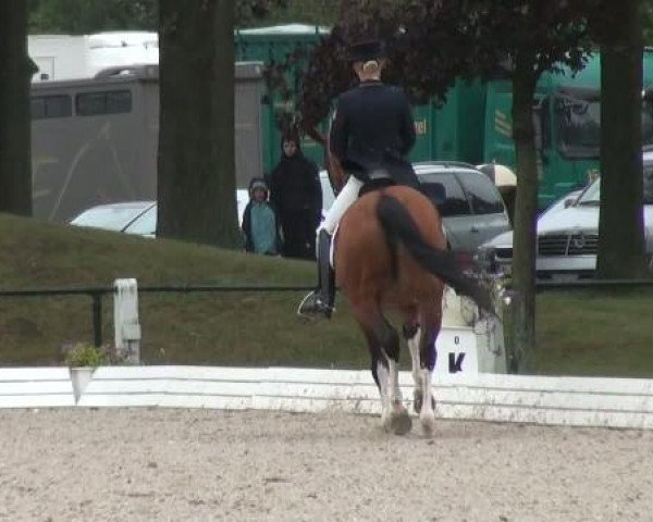 broodmare Etienne la Petite (Westphalian, 2000, from Ehrentusch)