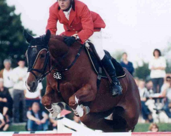 Zuchtstute Tanorah W CH (Schweizer Warmblut, 1994, von Tanael du Serein)