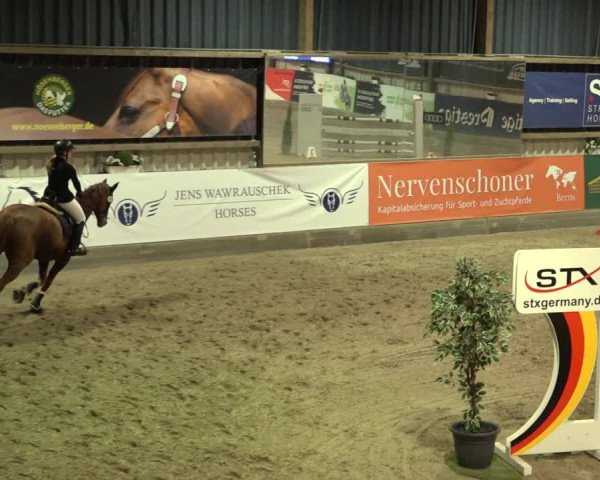 1. Nordic Jumping event Negernbötel 2022