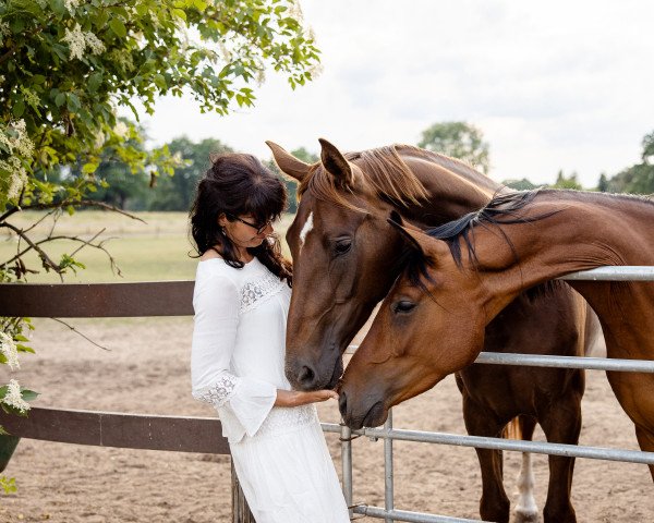 broodmare Feinrichs Diva W (German Warmblood, 2019, from Feinrich)