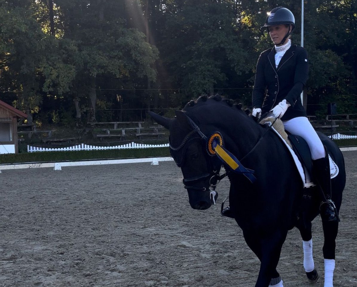 Dressurpferd Fortune & Fame (Hannoveraner, 2017, von Fürstenball)