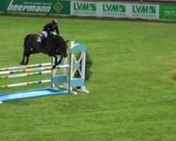 jumper Condor M (Westphalian, 2006, from Conterno Grande)