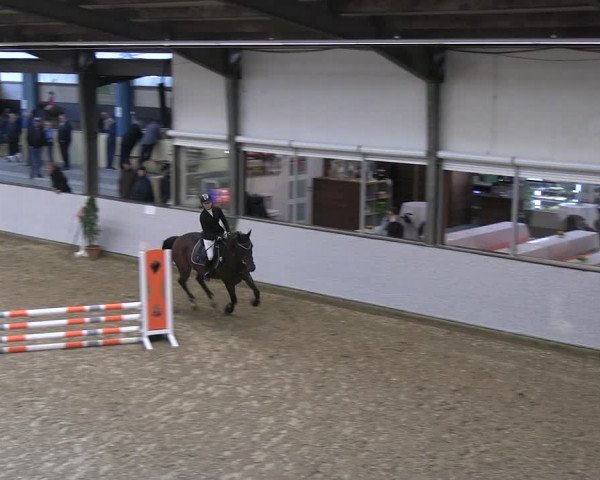 Reitturnier Legden 2022