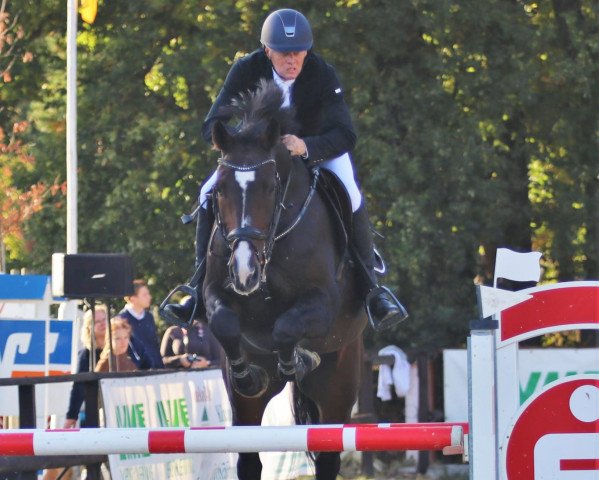 Springpferd Comanche M (Westfale, 2010, von Captain Fire)