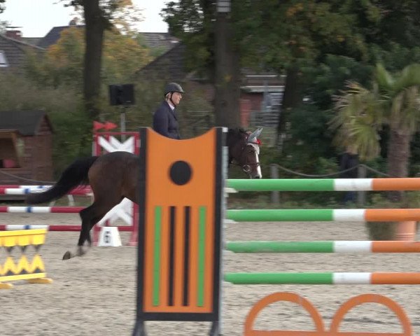 4. Handorfer Springturnier 2022