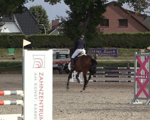 4. Handorfer Springturnier 2022