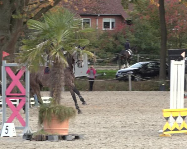 4. Handorfer Springturnier 2022