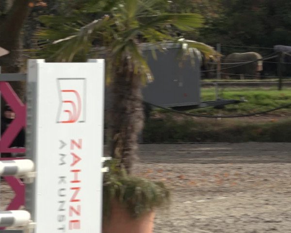 4. Handorfer Springturnier 2022