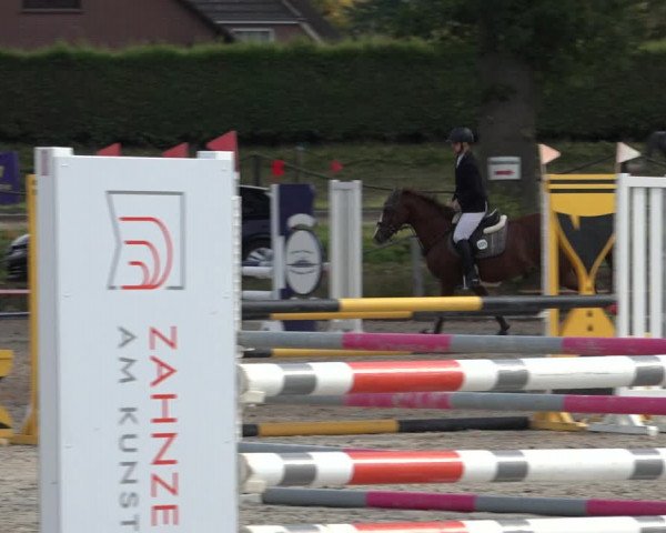 4. Handorfer Springturnier 2022