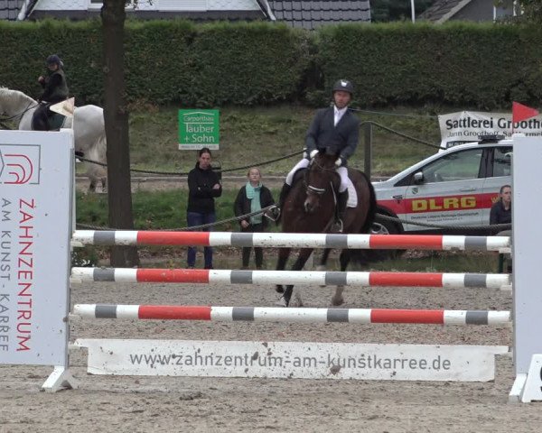 4. Handorfer Springturnier 2022