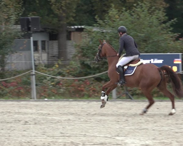 4. Handorfer Springturnier 2022