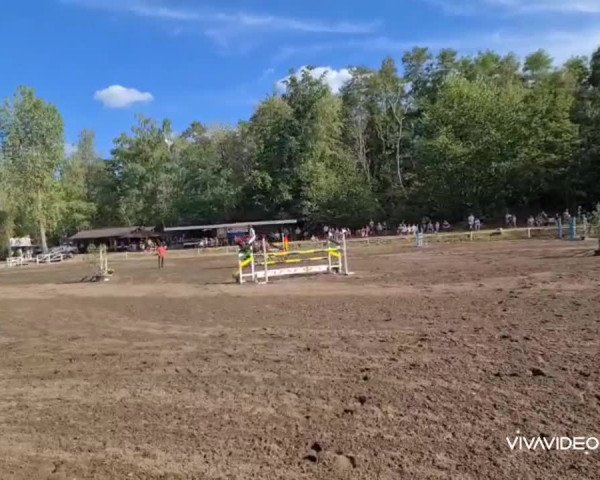 Video von Nantano van het Hertenrooi