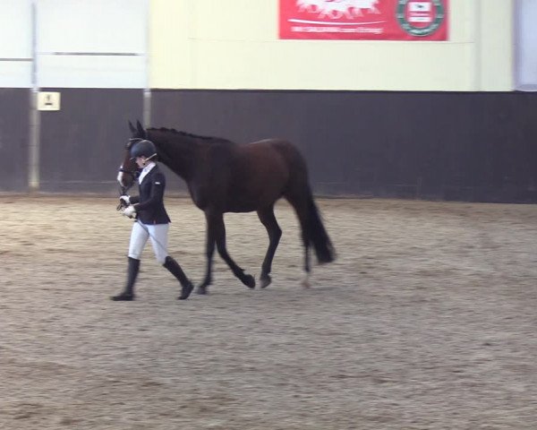 Reitturnier St. Peter-Ording 2022