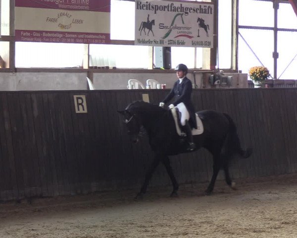 Reitturnier St. Peter-Ording 2022