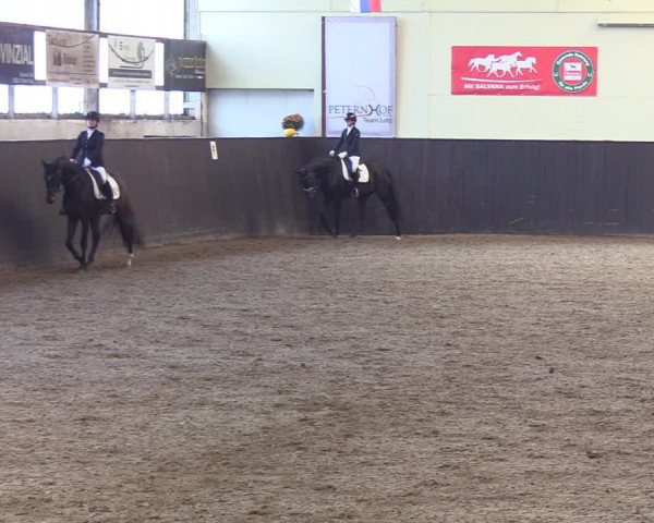 Reitturnier St. Peter-Ording 2022