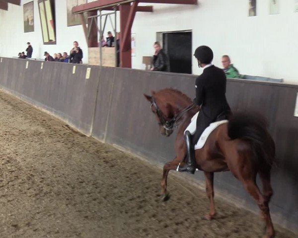 Reitturnier St. Peter-Ording 2022