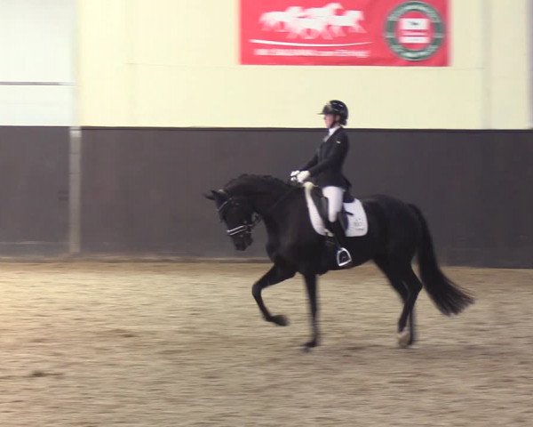 Reitturnier St. Peter-Ording 2022