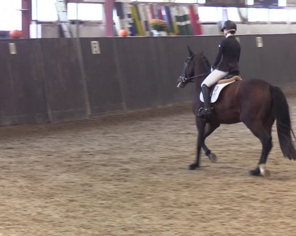 Reitturnier St. Peter-Ording 2022