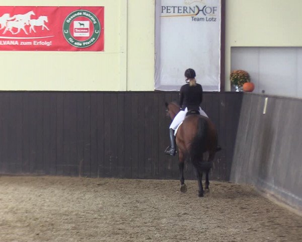 Reitturnier St. Peter-Ording 2022