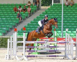 jumper Shania Ecrasant (Oldenburg show jumper, 2016, from Action-Breaker)