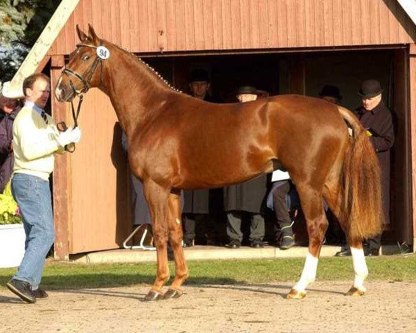 stallion Denekas (Hanoverian, 2001, from De Niro)