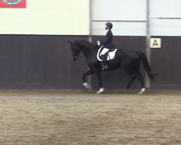 Reitturnier St. Peter-Ording 2022