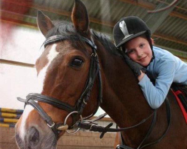 dressage horse Nicco 21 (German Riding Pony, 1990, from Nadler I)