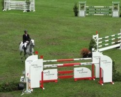Springpferd Ekras Last Edition (KWPN (Niederländisches Warmblut), 2000)