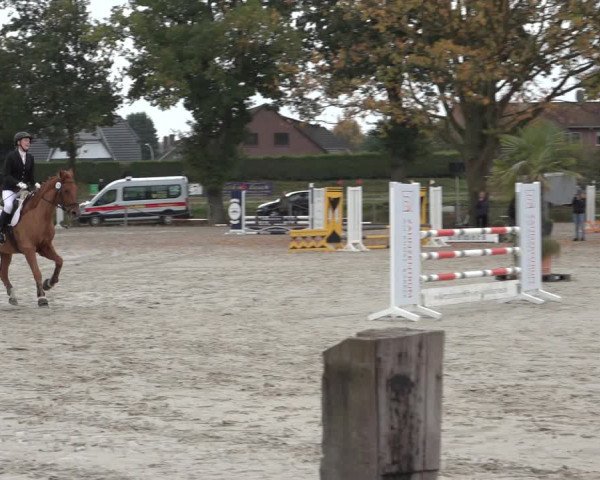 4. Handorfer Springturnier 2022