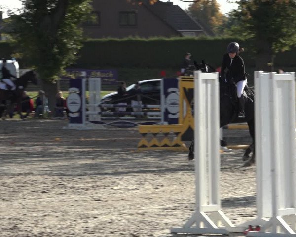 4. Handorfer Springturnier 2022