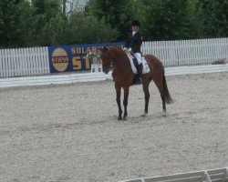 dressage horse Saronno 2 (KWPN (Royal Dutch Sporthorse), 1999, from Florestan I)