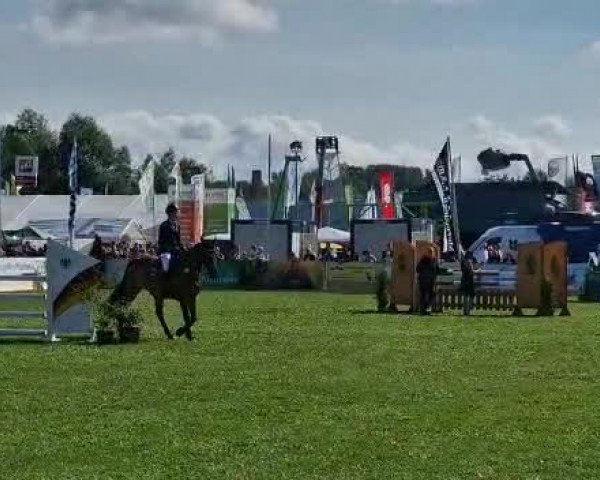 Reitturnier Mühlengeez 2022