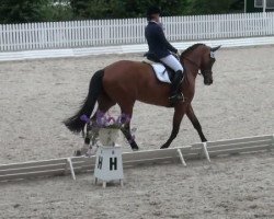 broodmare Franziska (Westphalian, 2000, from Florestan I)