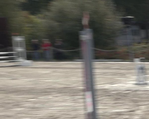 4. Handorfer Springturnier 2022