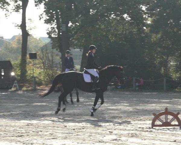 4. Handorfer Springturnier 2022
