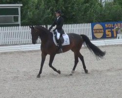 dressage horse Rusty 217 (Westphalian, 1999, from Rockwell)
