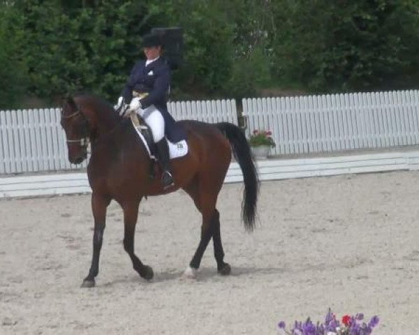 dressage horse Renoir 93 (Oldenburg, 1994, from Ravallo 115 FIN)