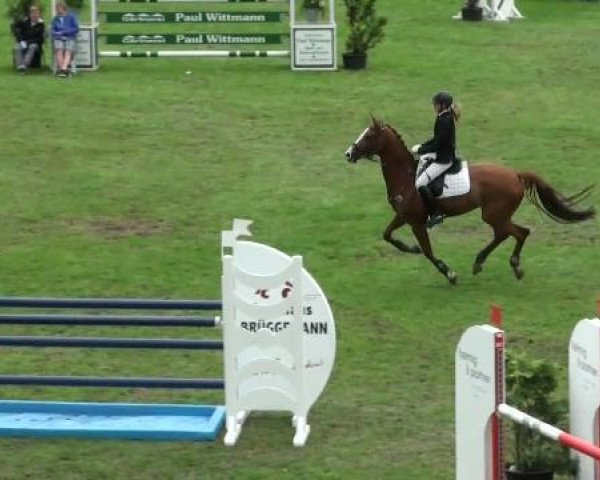 jumper Galando 11 (Westphalian, 2000, from Grandilot)